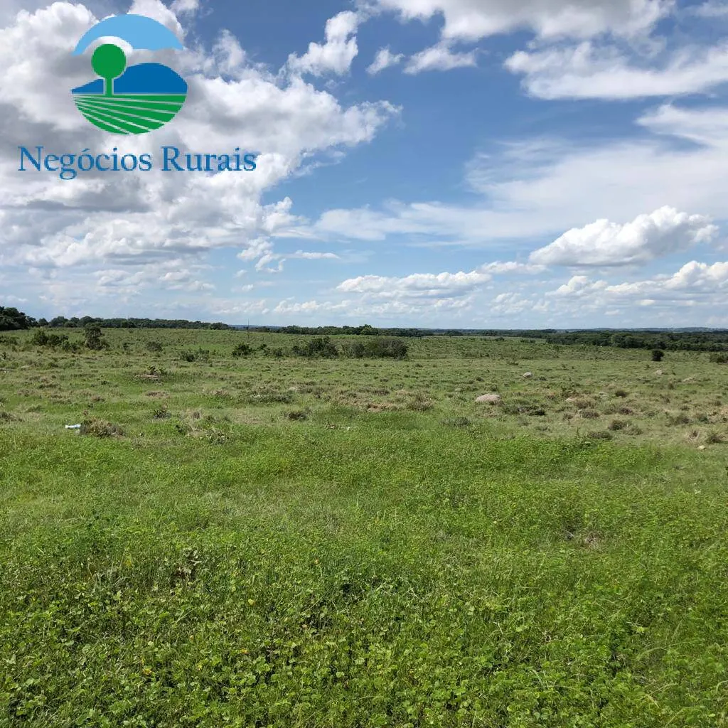 Fazenda à venda de 2.178 ha em Crixás, GO, Brasil