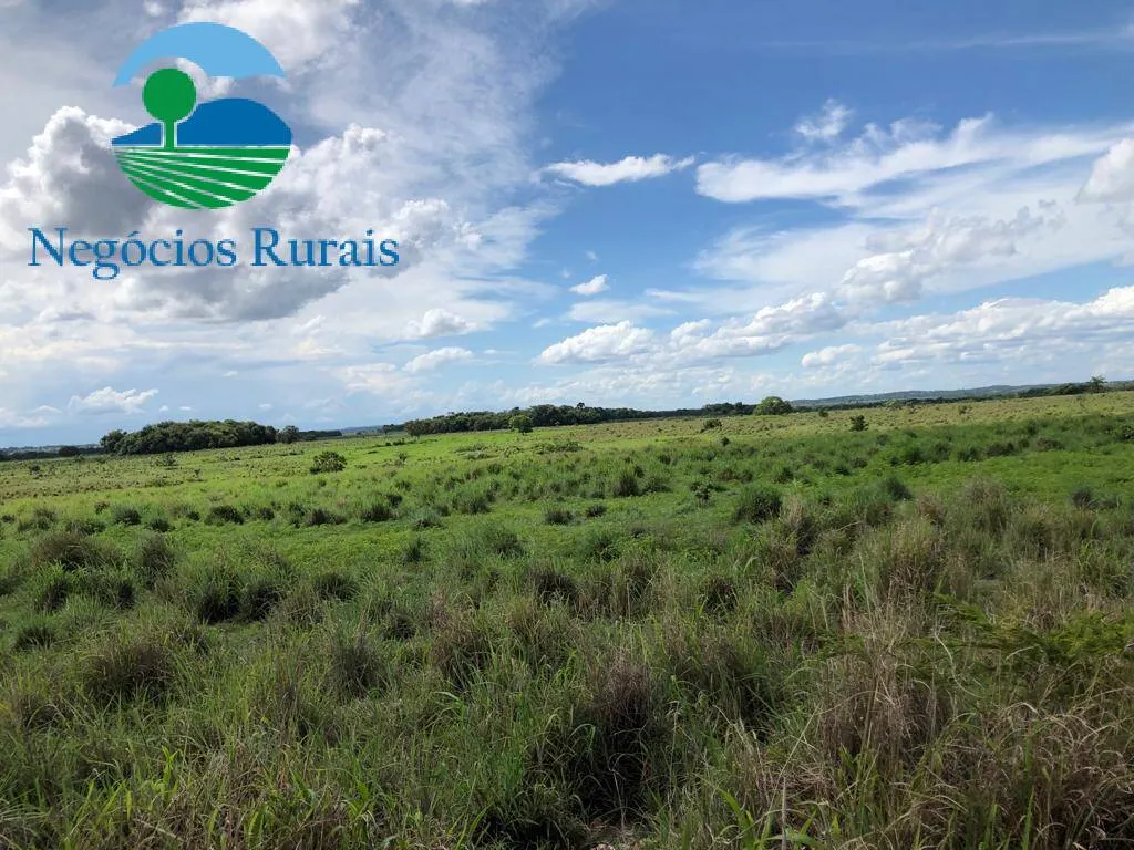 Fazenda à venda de 2.178 ha em Crixás, GO, Brasil
