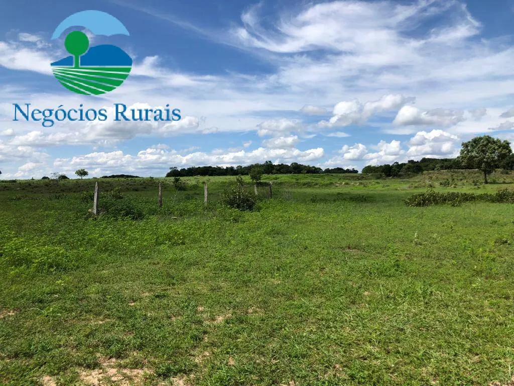 Fazenda à venda de 2.178 ha em Crixás, GO, Brasil