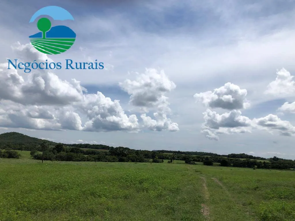 Fazenda à venda de 2.178 ha em Crixás, GO, Brasil