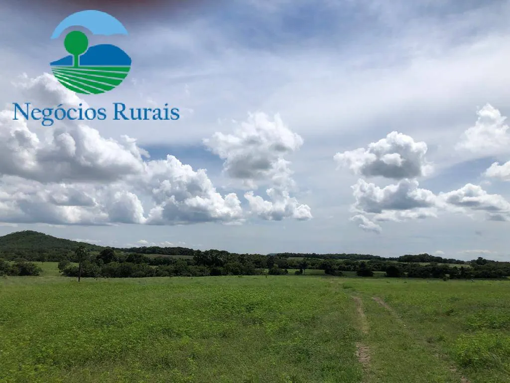 Fazenda à venda de 2.178 ha em Crixás, GO, Brasil