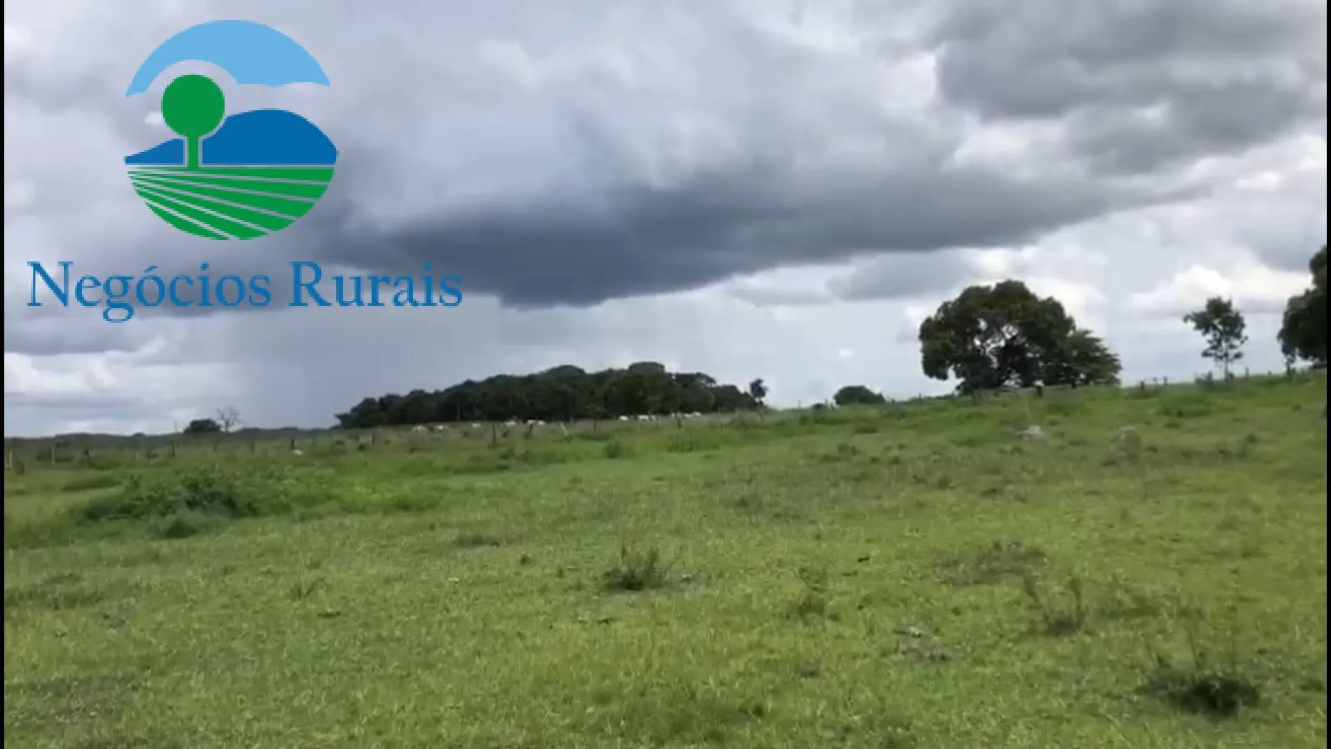 Fazenda à venda de 2.178 ha em Crixás, GO, Brasil