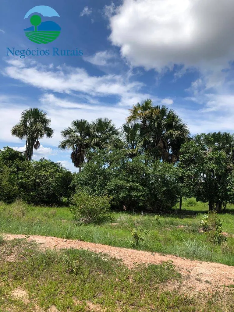 Fazenda à venda de 2.178 ha em Crixás, GO, Brasil
