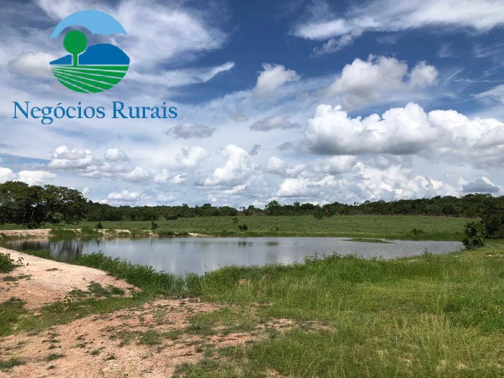 Fazenda à venda de 2.178 ha em Crixás, GO, Brasil