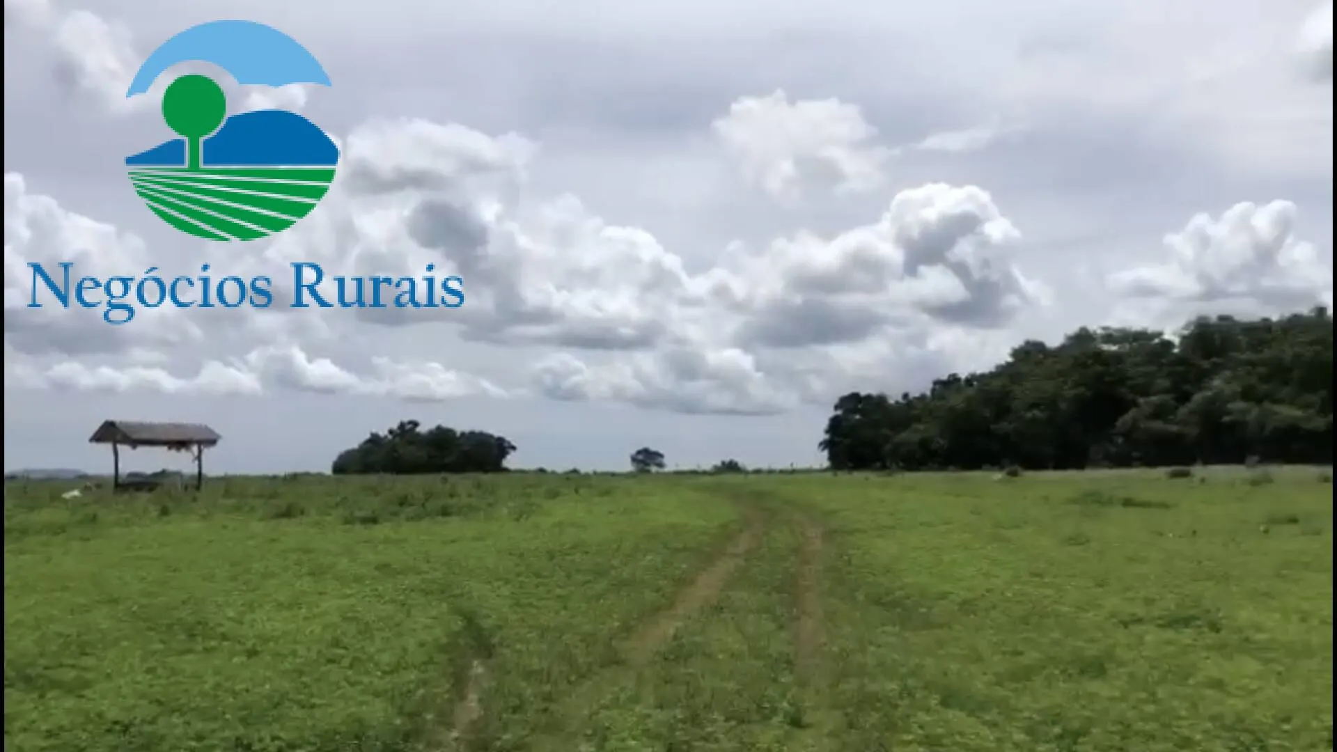 Fazenda à venda de 2.178 ha em Crixás, GO, Brasil