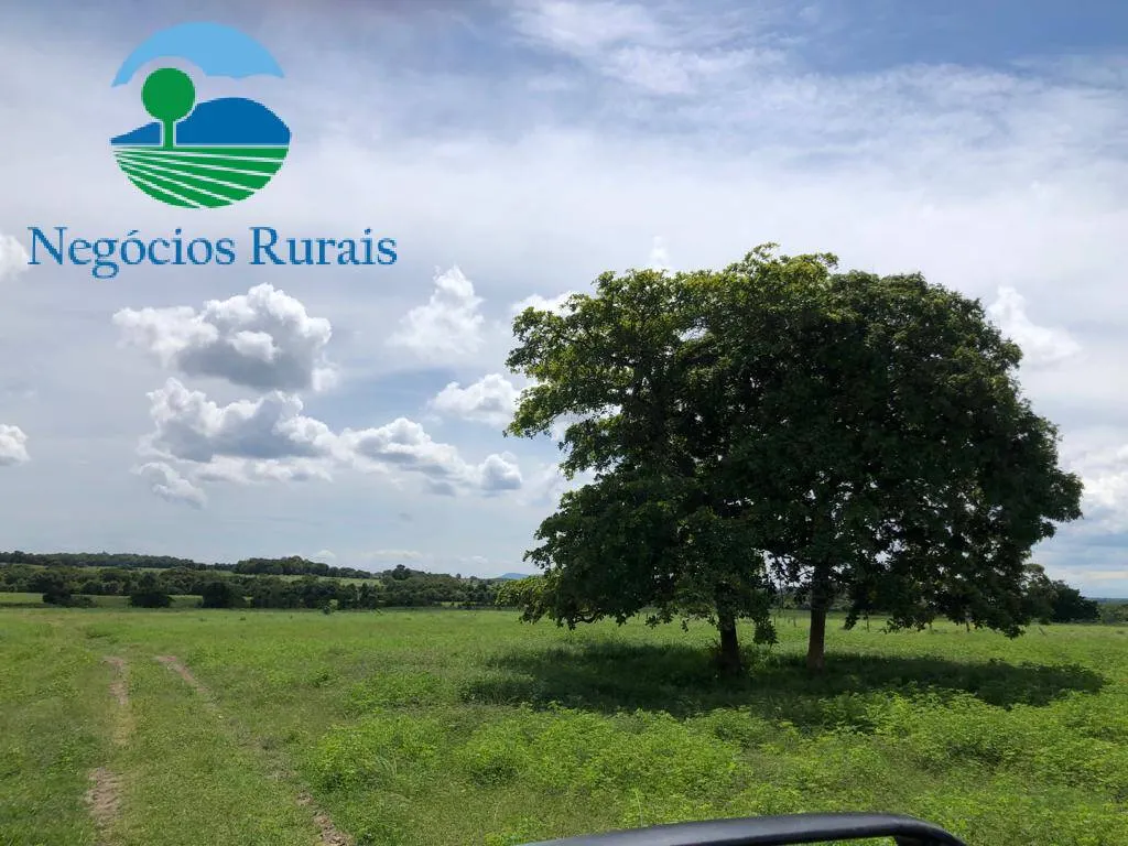 Fazenda à venda de 2.178 ha em Crixás, GO, Brasil
