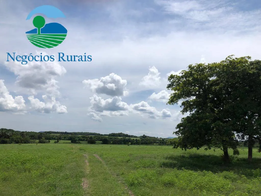 Fazenda à venda de 2.178 ha em Crixás, GO, Brasil