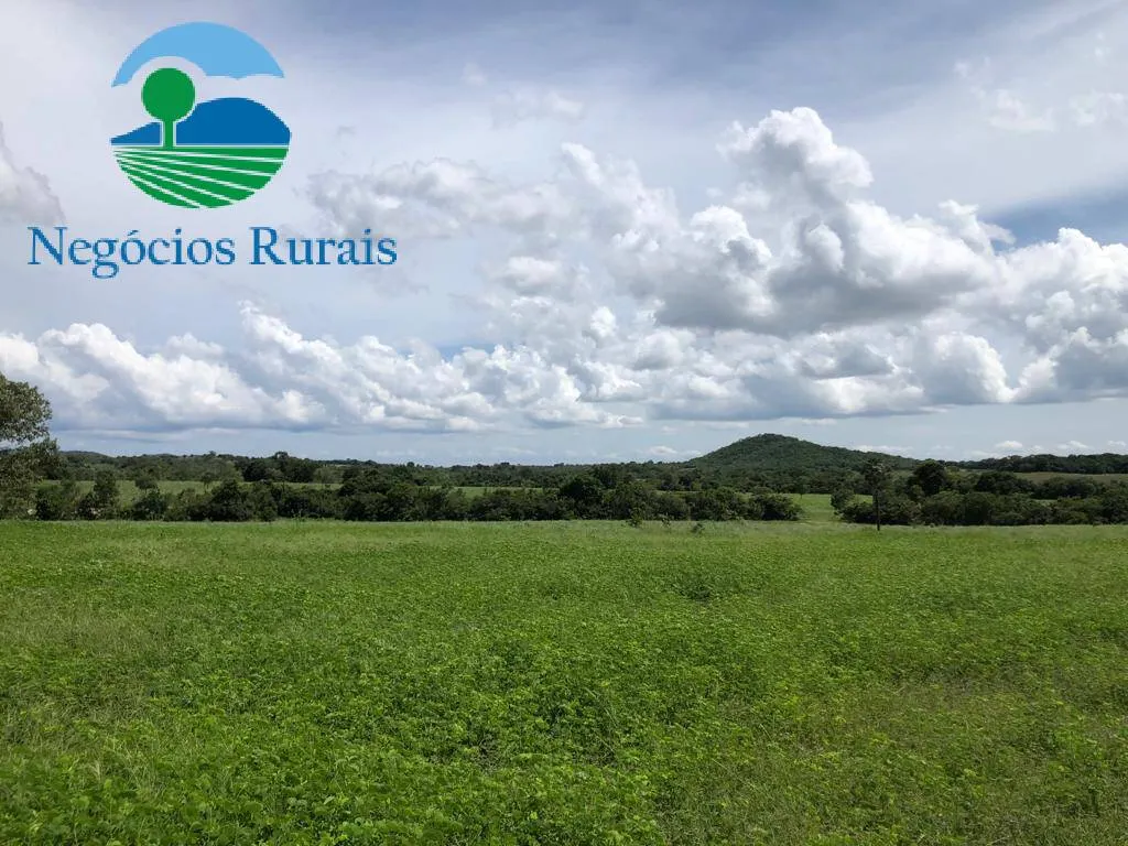 Fazenda à venda de 2.178 ha em Crixás, GO, Brasil