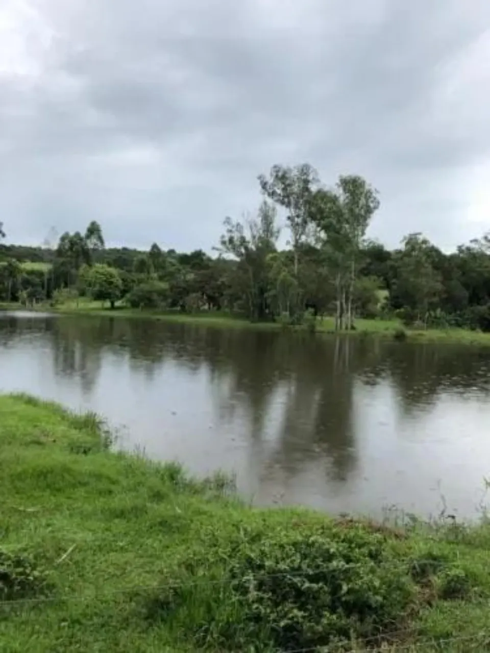 Fazenda à venda de 242 ha em Bofete, SP, Brasil