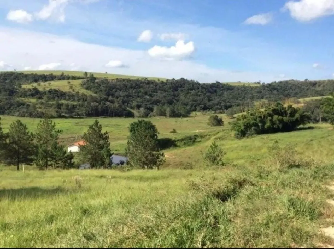 Fazenda à venda de 242 ha em Bofete, SP, Brasil