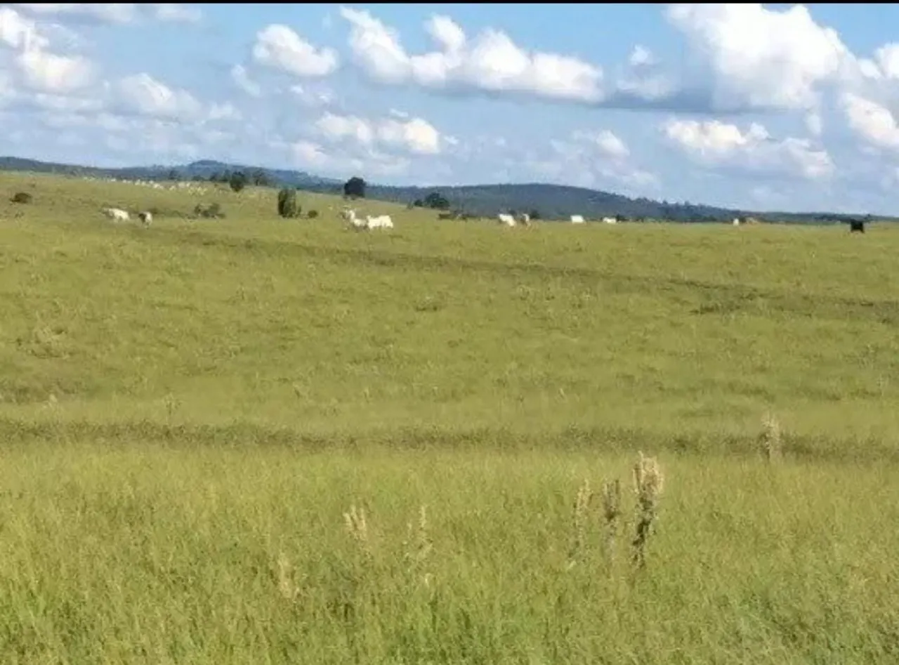 Fazenda à venda de 242 ha em Bofete, SP, Brasil