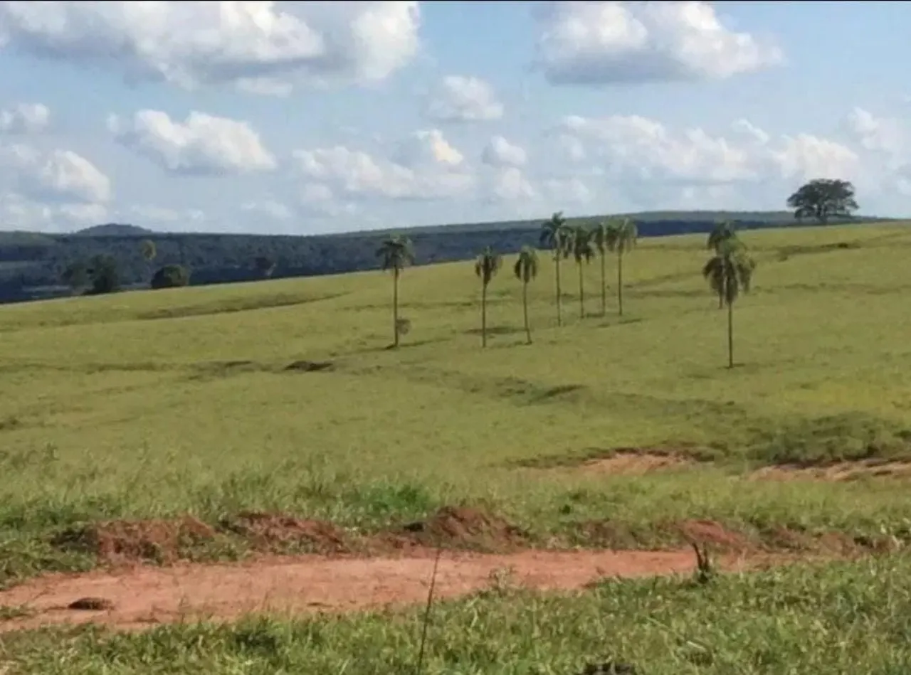 Fazenda à venda de 242 ha em Bofete, SP, Brasil