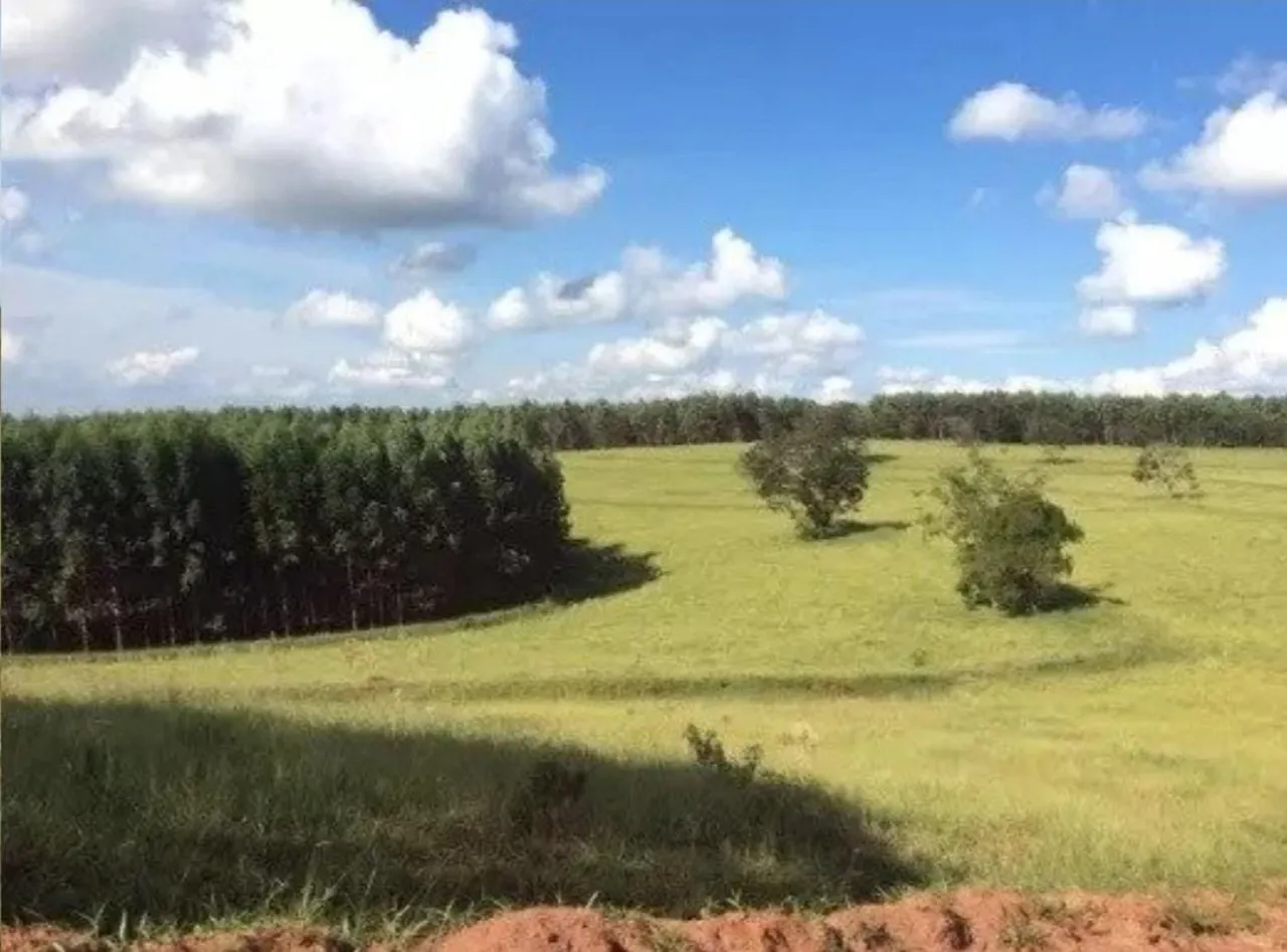 Fazenda à venda de 242 ha em Bofete, SP, Brasil