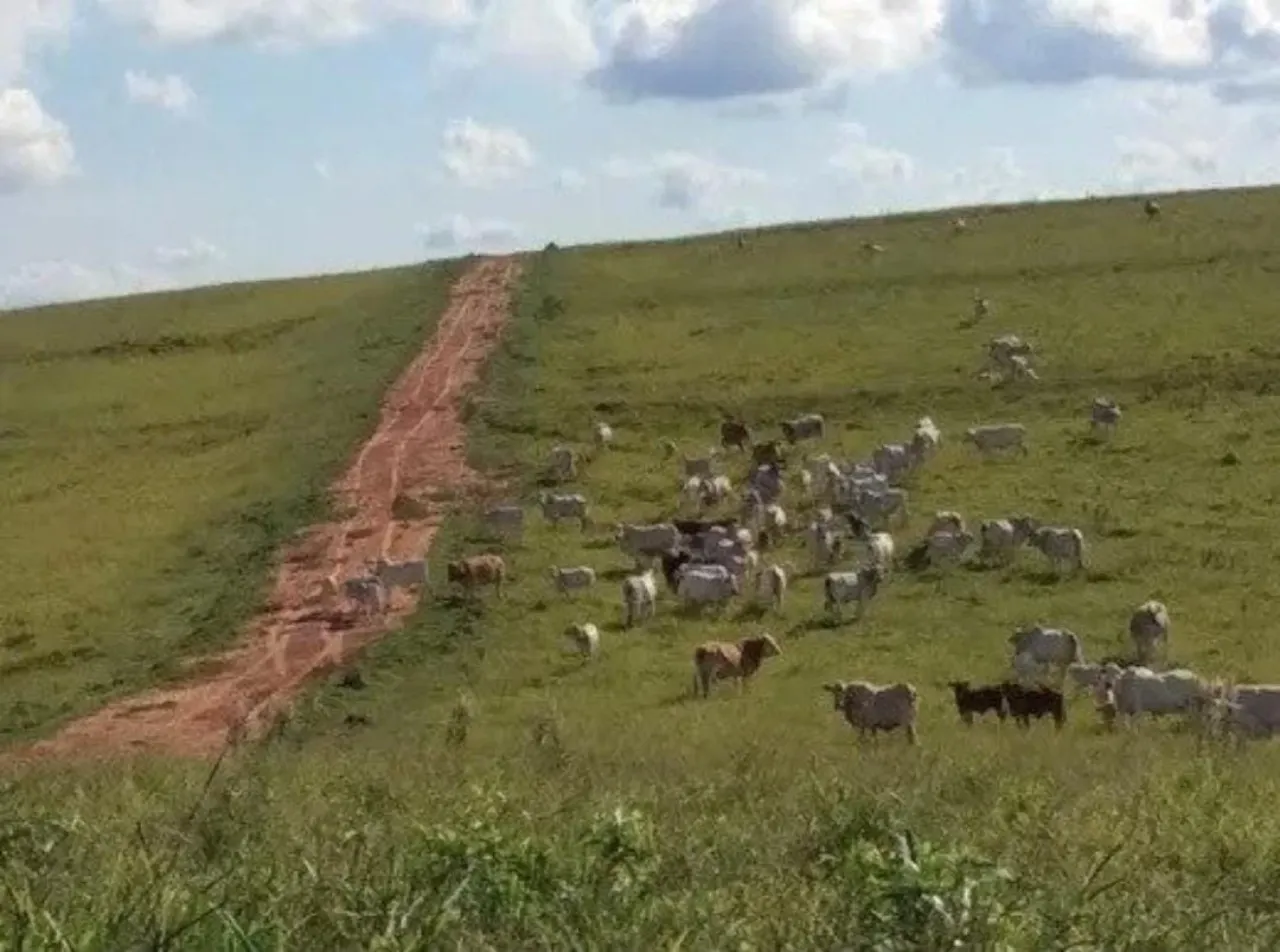 Fazenda à venda de 242 ha em Bofete, SP, Brasil