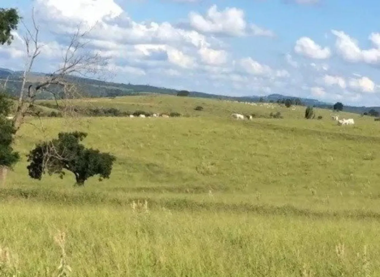 Fazenda à venda de 242 ha em Bofete, SP, Brasil