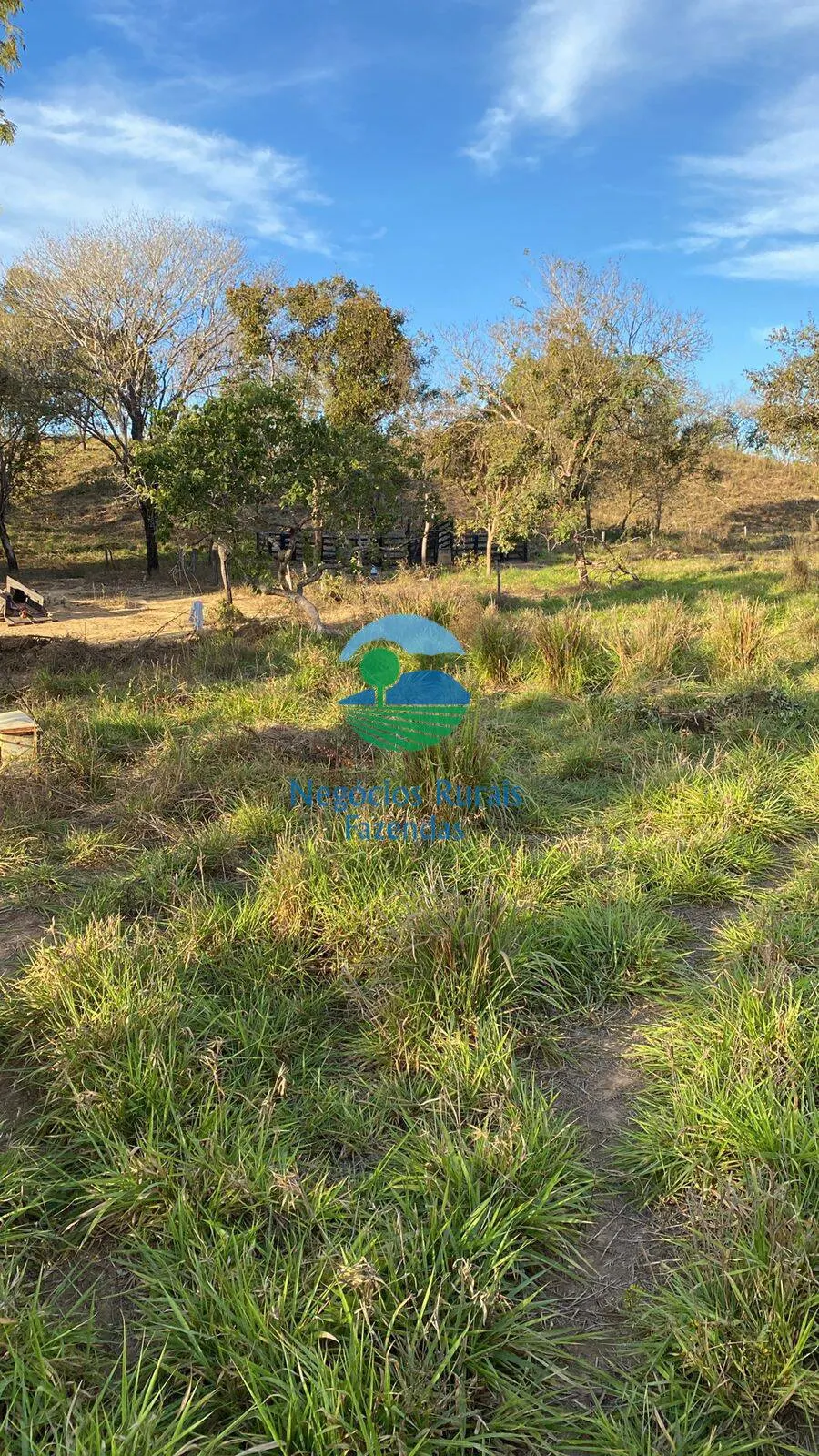 Fazenda à venda de 160 ha em Niquelândia, GO, Brasil