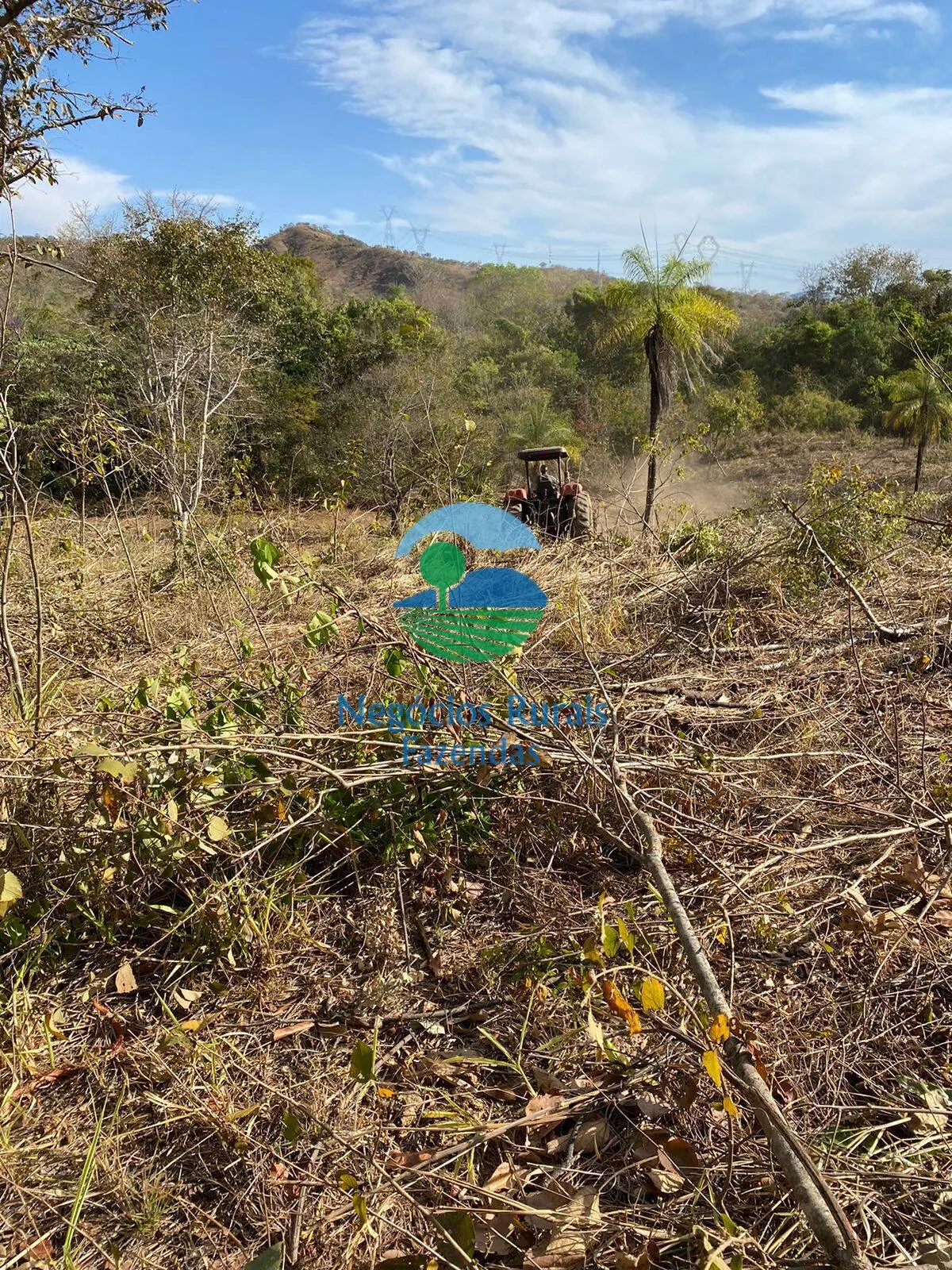 Fazenda à venda de 160 ha em Niquelândia, GO, Brasil