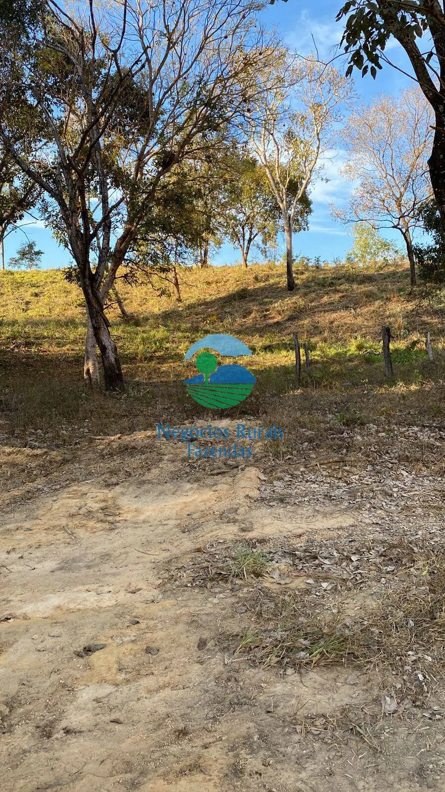 Fazenda à venda de 160 ha em Niquelândia, GO, Brasil