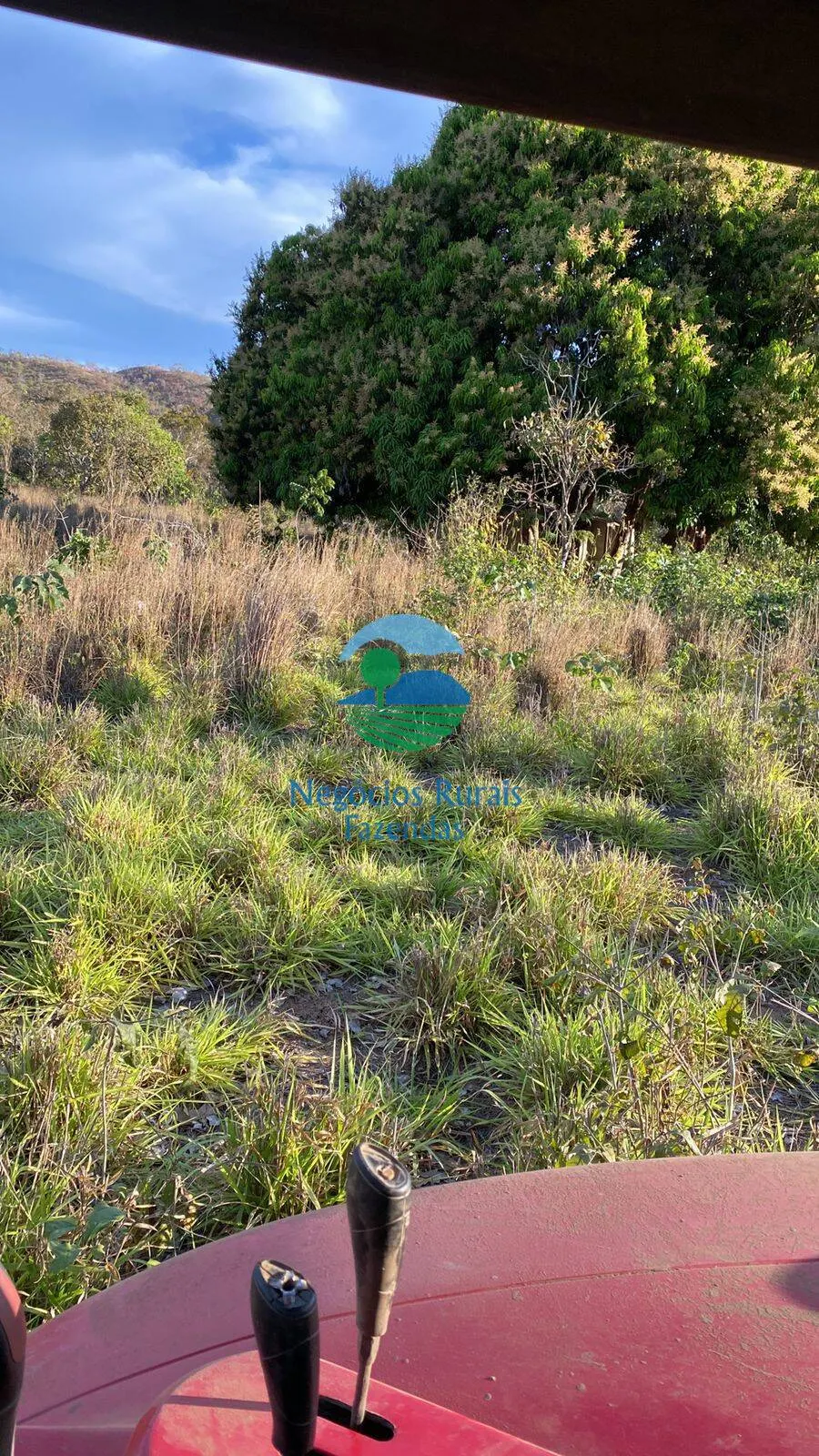 Fazenda à venda de 160 ha em Niquelândia, GO, Brasil