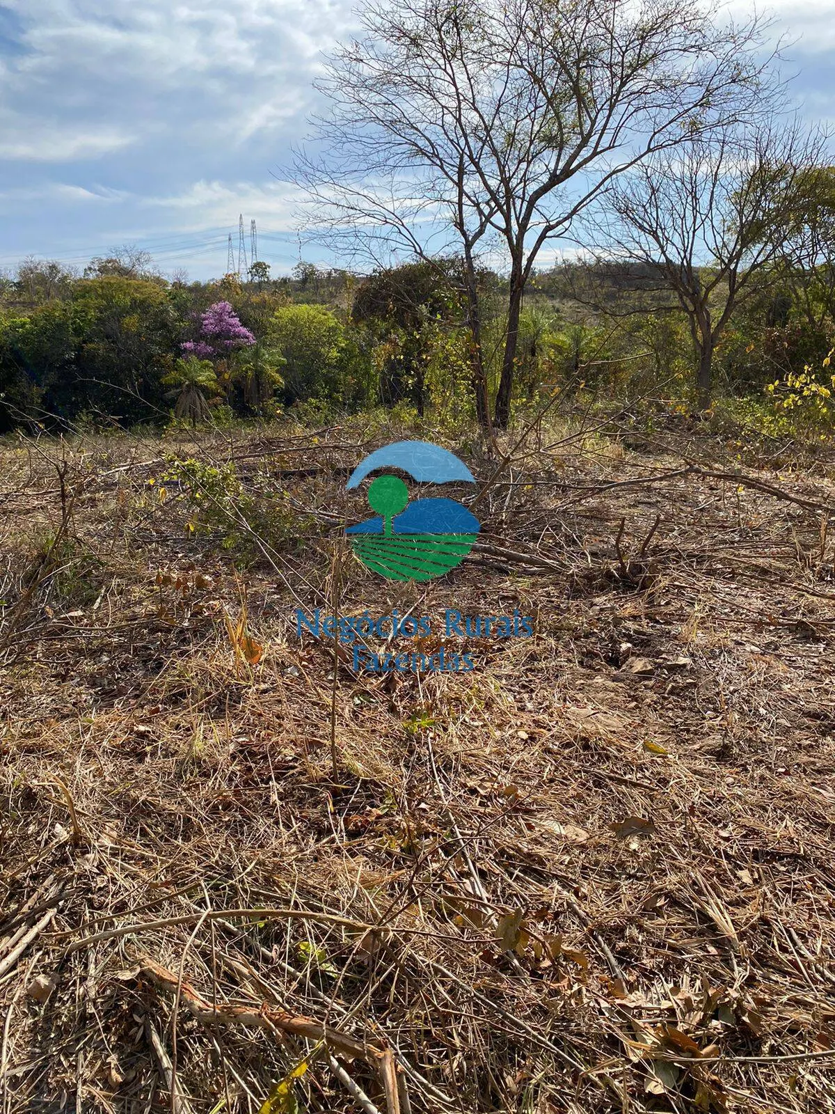Fazenda à venda de 160 ha em Niquelândia, GO, Brasil