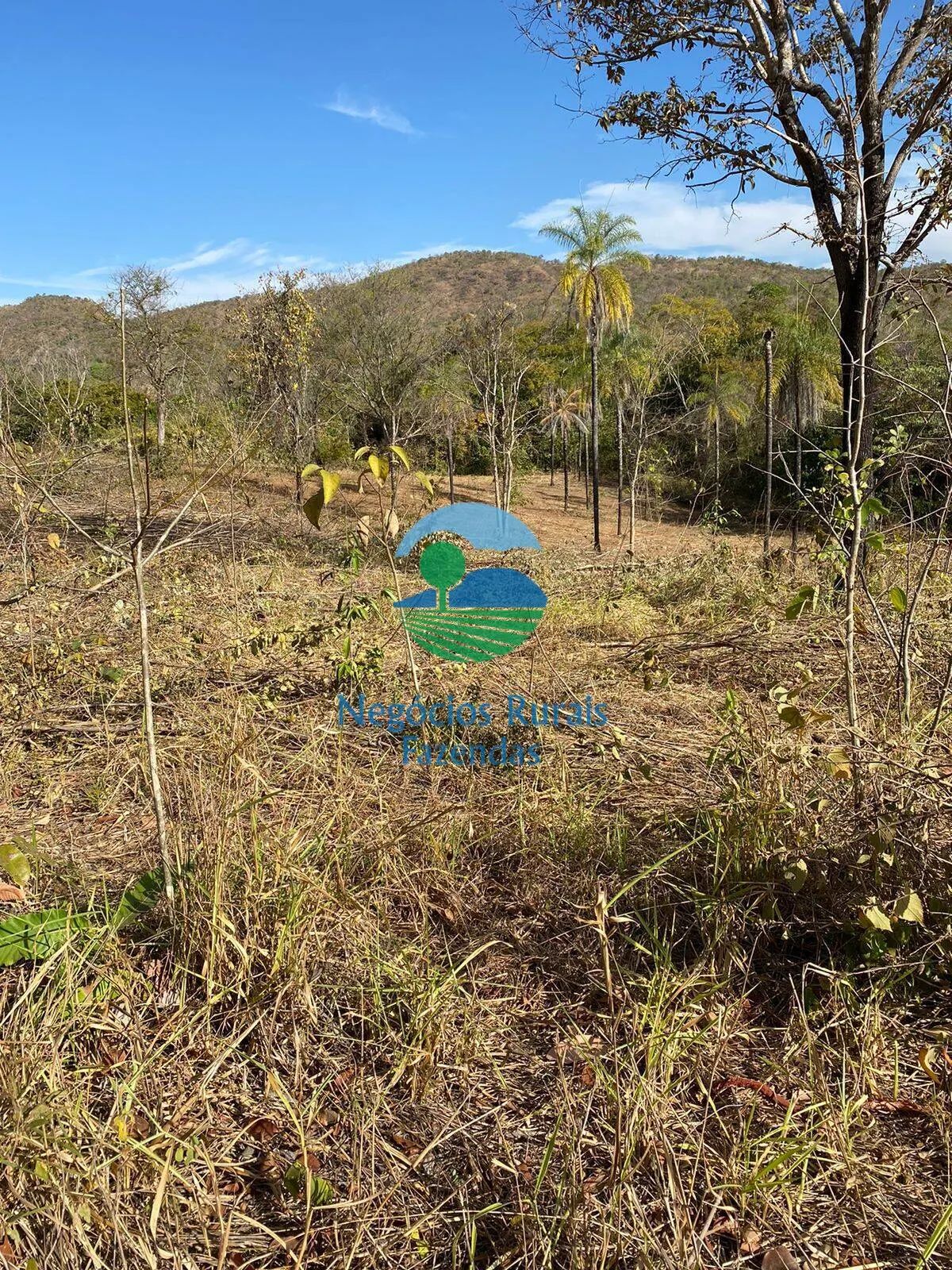 Fazenda à venda de 160 ha em Niquelândia, GO, Brasil