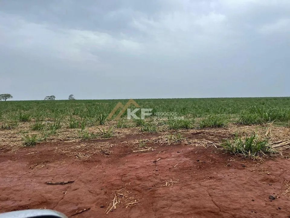 Fazenda à venda de 968 ha em São Carlos, SP, Brasil