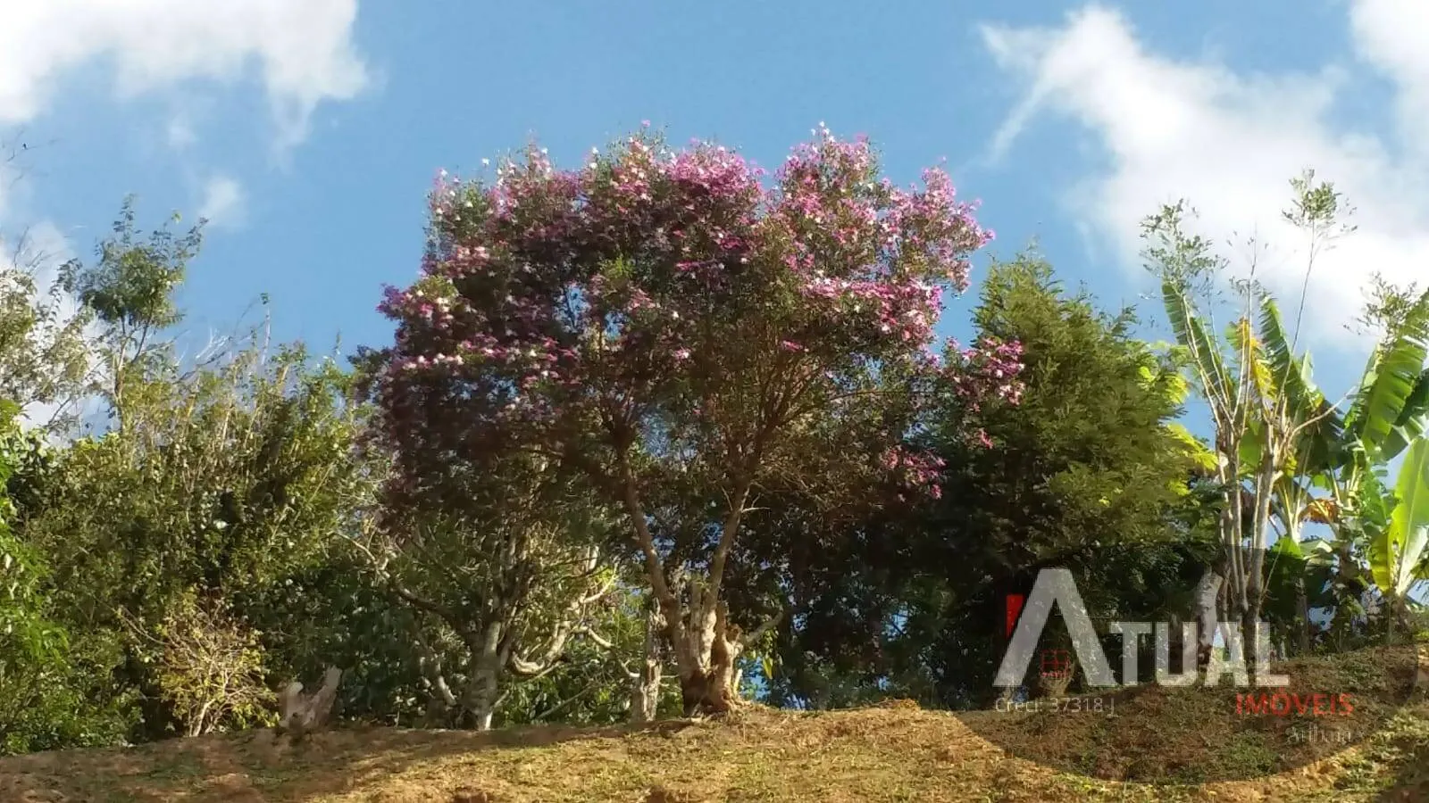 Country home for sale of 1,012 m² in Mairiporã, SP, Brazil