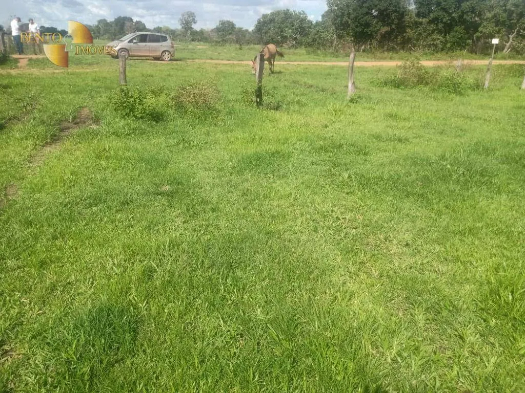 Fazenda à venda de 9.700 ha em Ribeirão Cascalheira, MT, Brasil