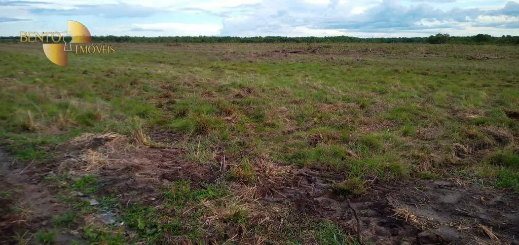 Fazenda à venda de 9.700 ha em Ribeirão Cascalheira, MT, Brasil