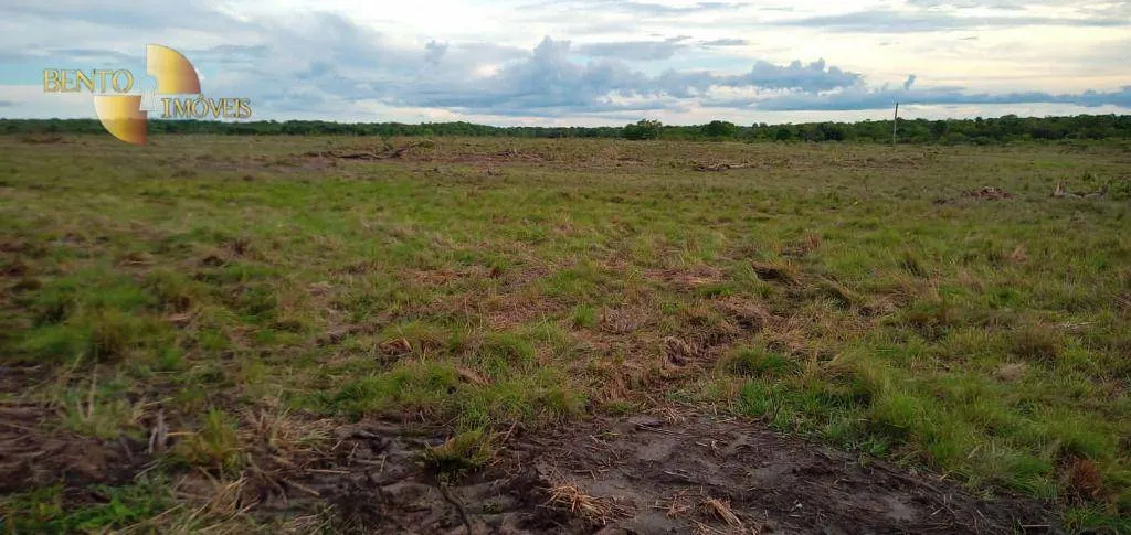 Fazenda à venda de 9.700 ha em Ribeirão Cascalheira, MT, Brasil
