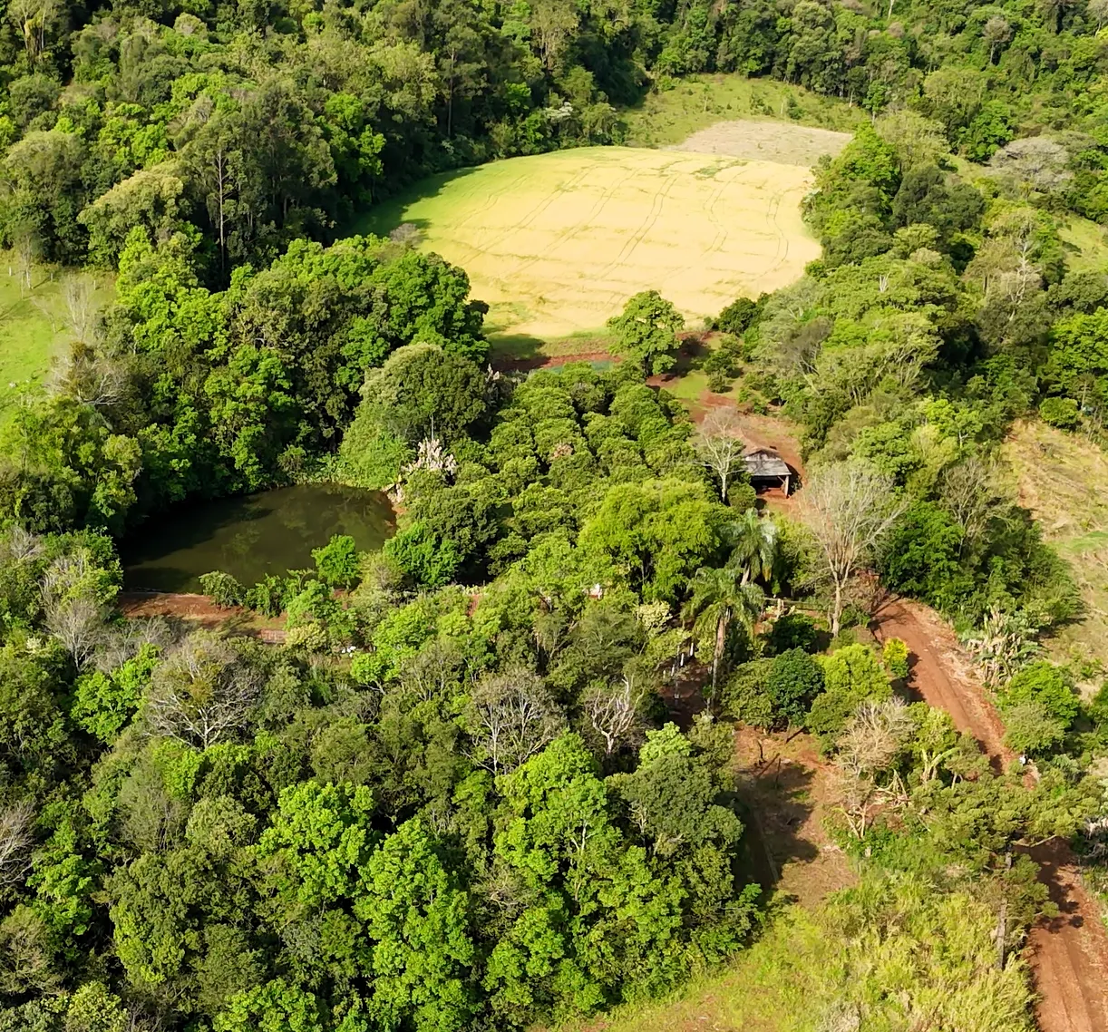Chácara à venda de 5 ha em Nova Itaberaba, SC, Brasil