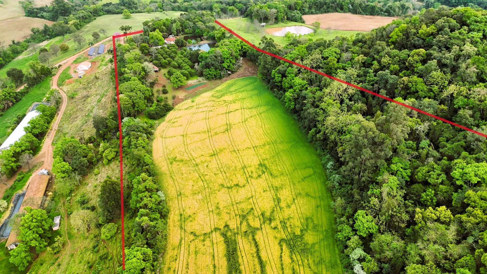 Chácara à venda de 5 ha em Nova Itaberaba, SC, Brasil