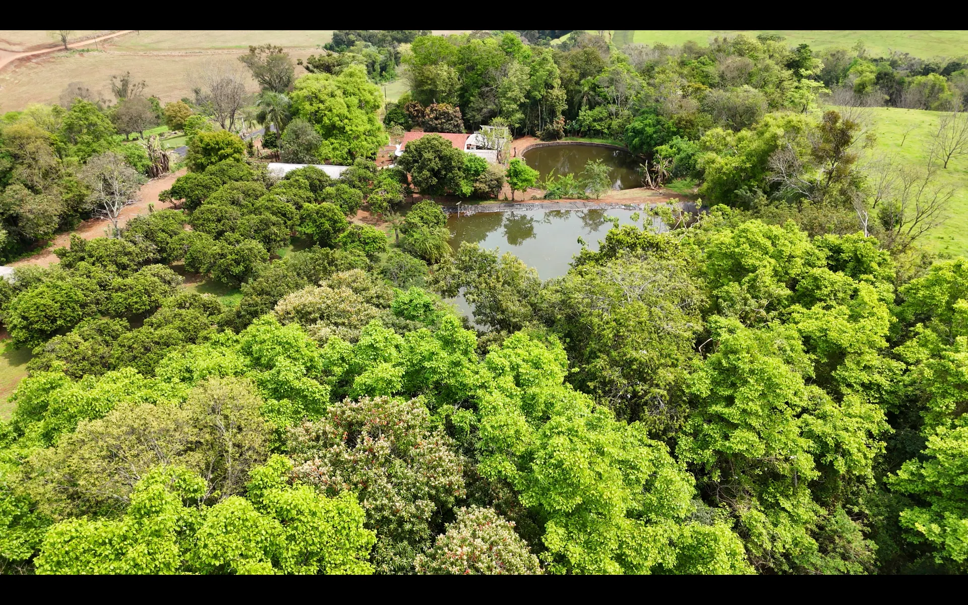 Chácara à venda de 5 ha em Nova Itaberaba, SC, Brasil
