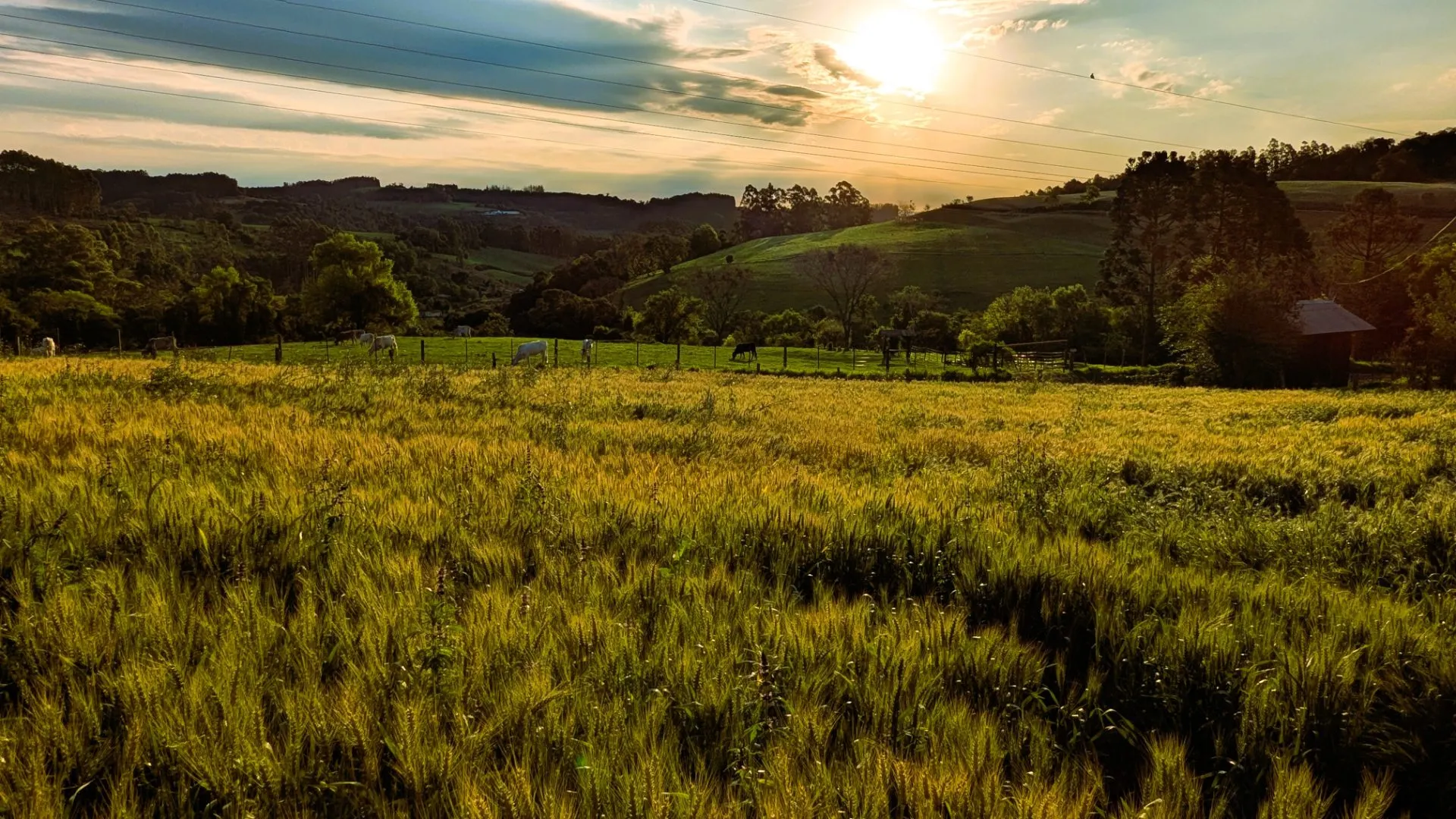 Chácara à venda de 5 ha em Nova Itaberaba, SC, Brasil
