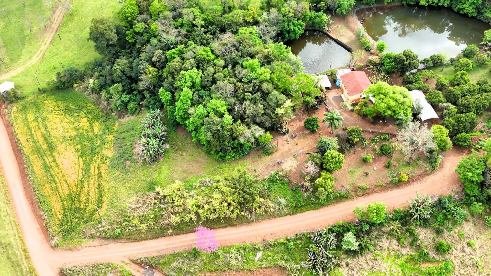 Chácara à venda de 5 ha em Nova Itaberaba, SC, Brasil