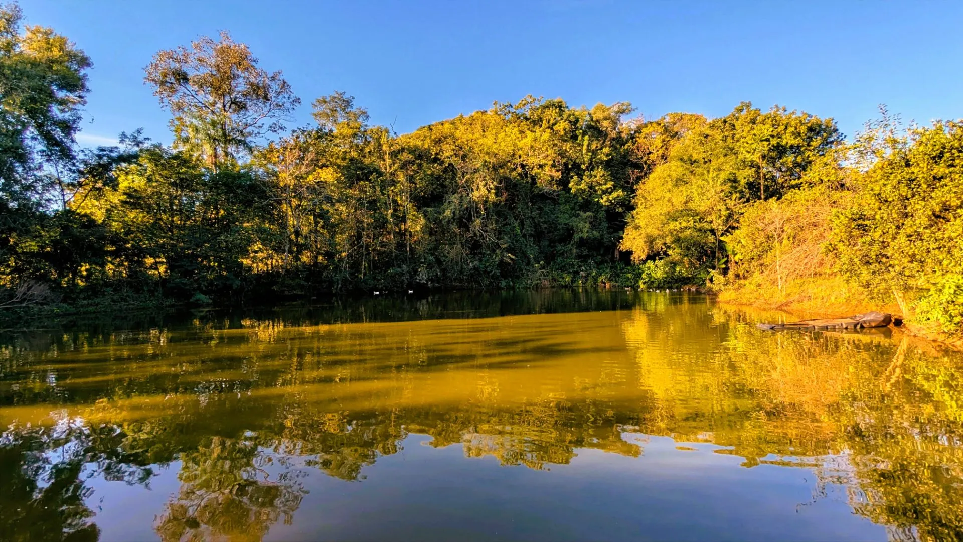 Chácara à venda de 5 ha em Nova Itaberaba, SC, Brasil