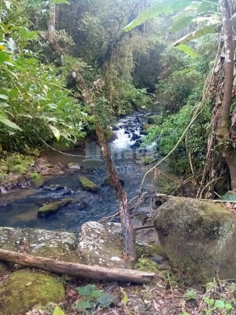 Farm for sale of 40 acres in José Boiteux, SC, Brazil