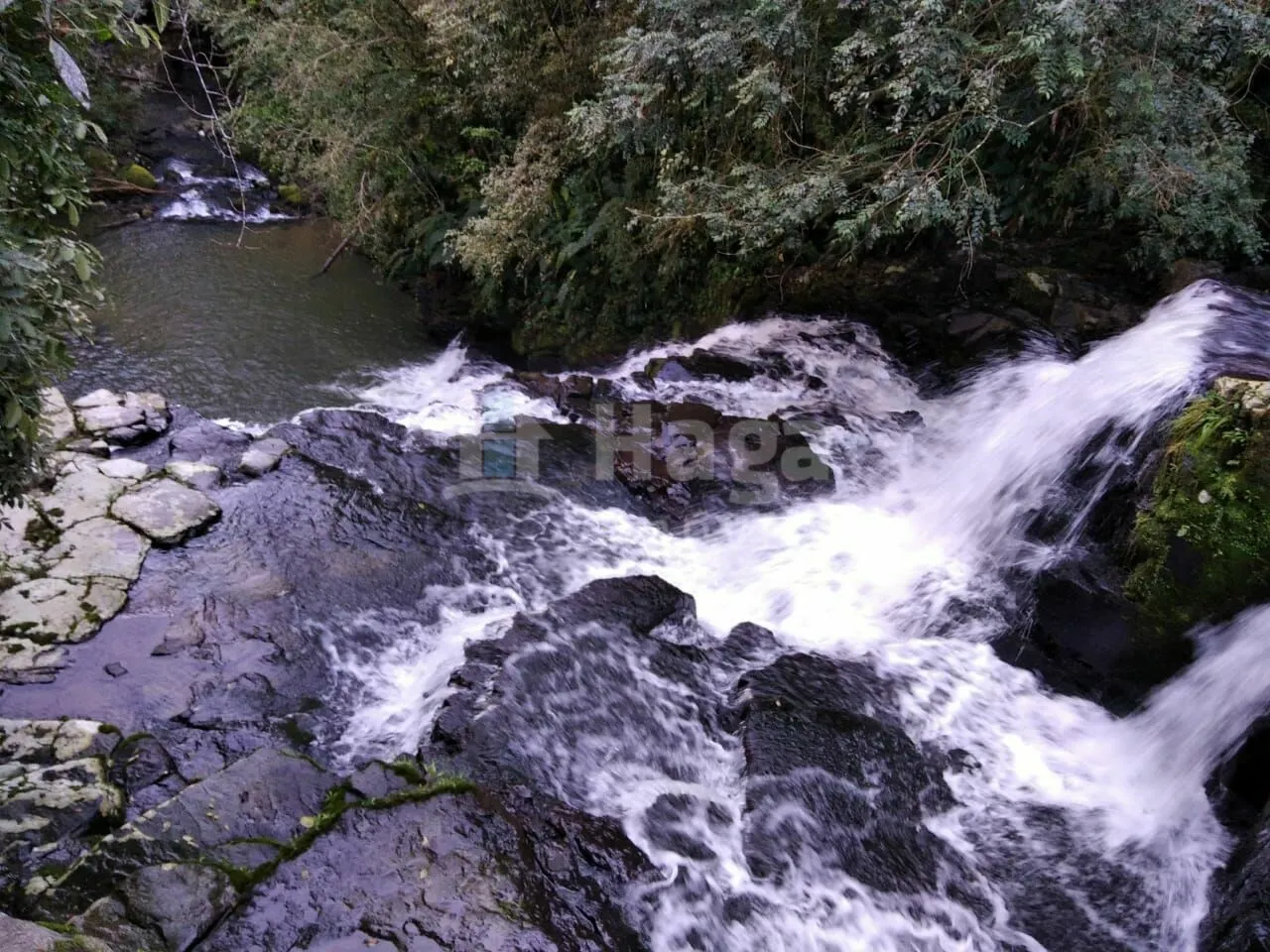 Farm for sale of 40 acres in José Boiteux, SC, Brazil