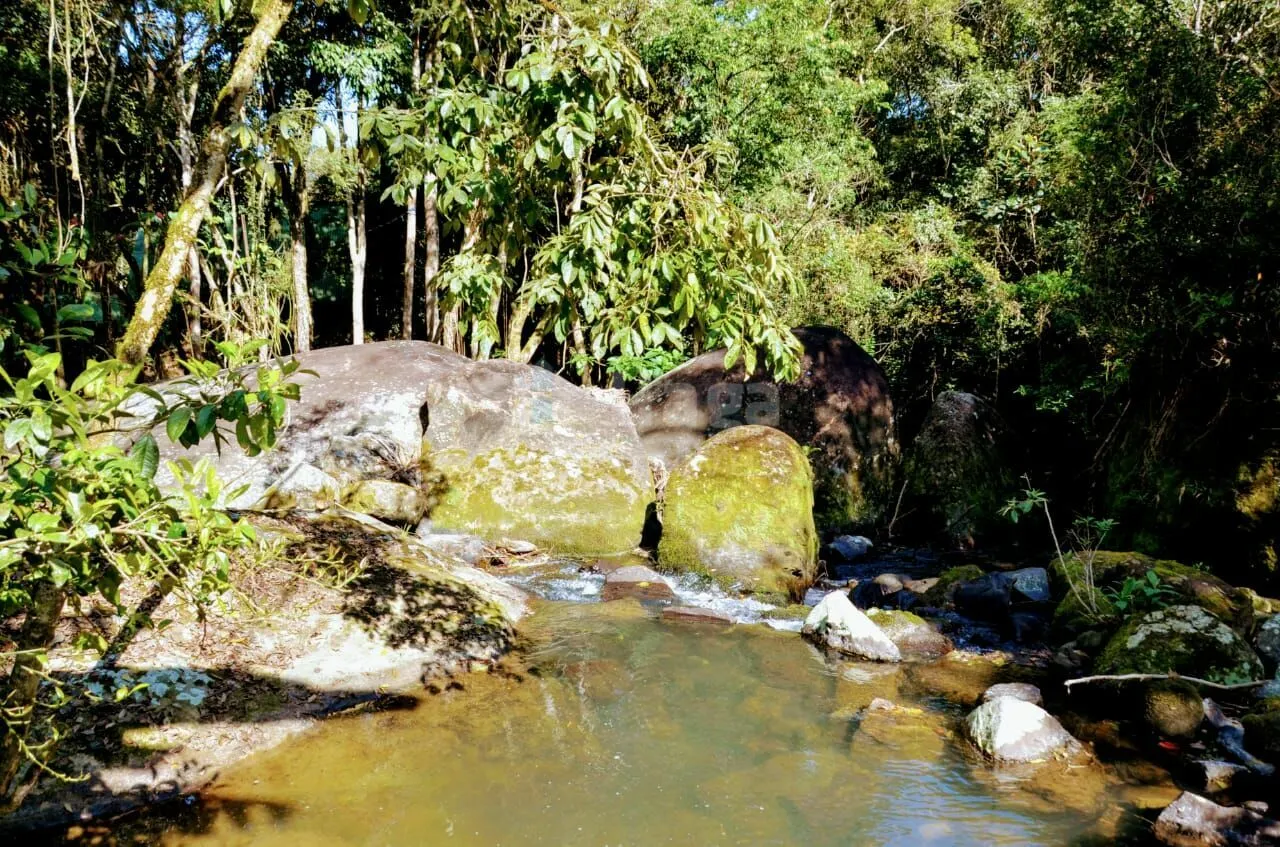 Farm for sale of 40 acres in José Boiteux, SC, Brazil