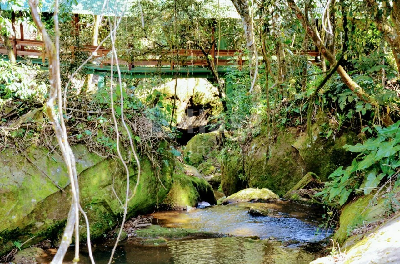 Farm for sale of 40 acres in José Boiteux, SC, Brazil