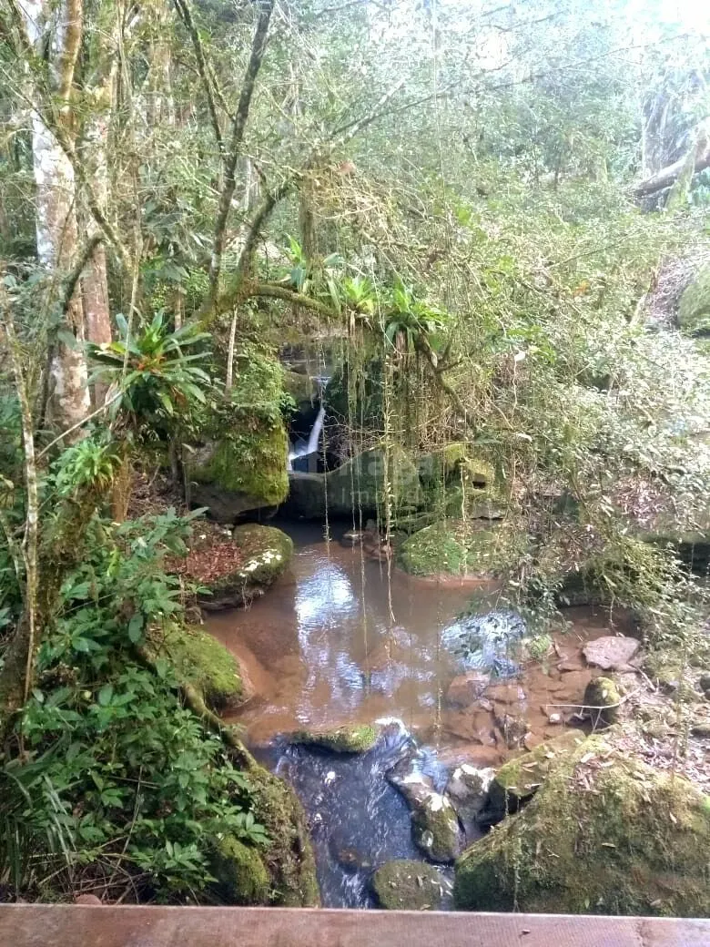 Farm for sale of 40 acres in José Boiteux, SC, Brazil