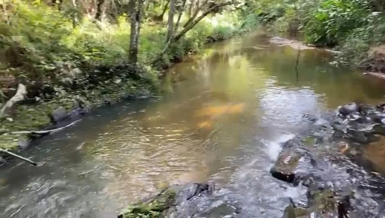 Fazenda à venda de 11 ha em São Miguel Arcanjo, SP, Brasil