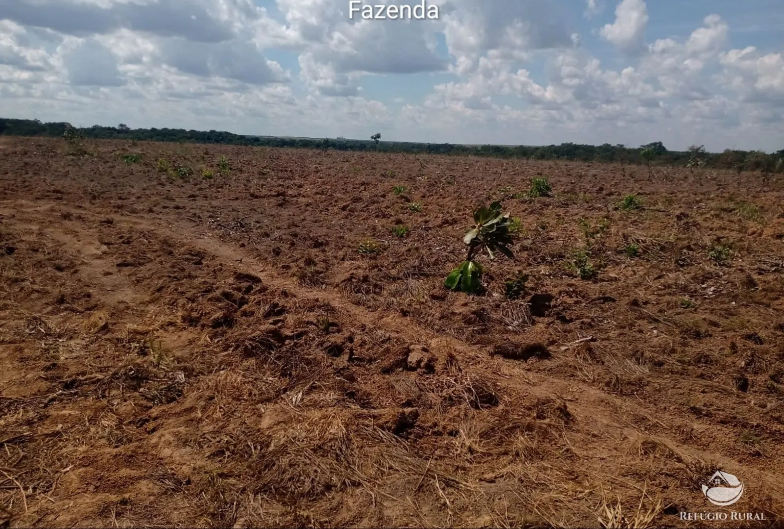 Fazenda à venda de 3.771 ha em Rosário Oeste, MT, Brasil