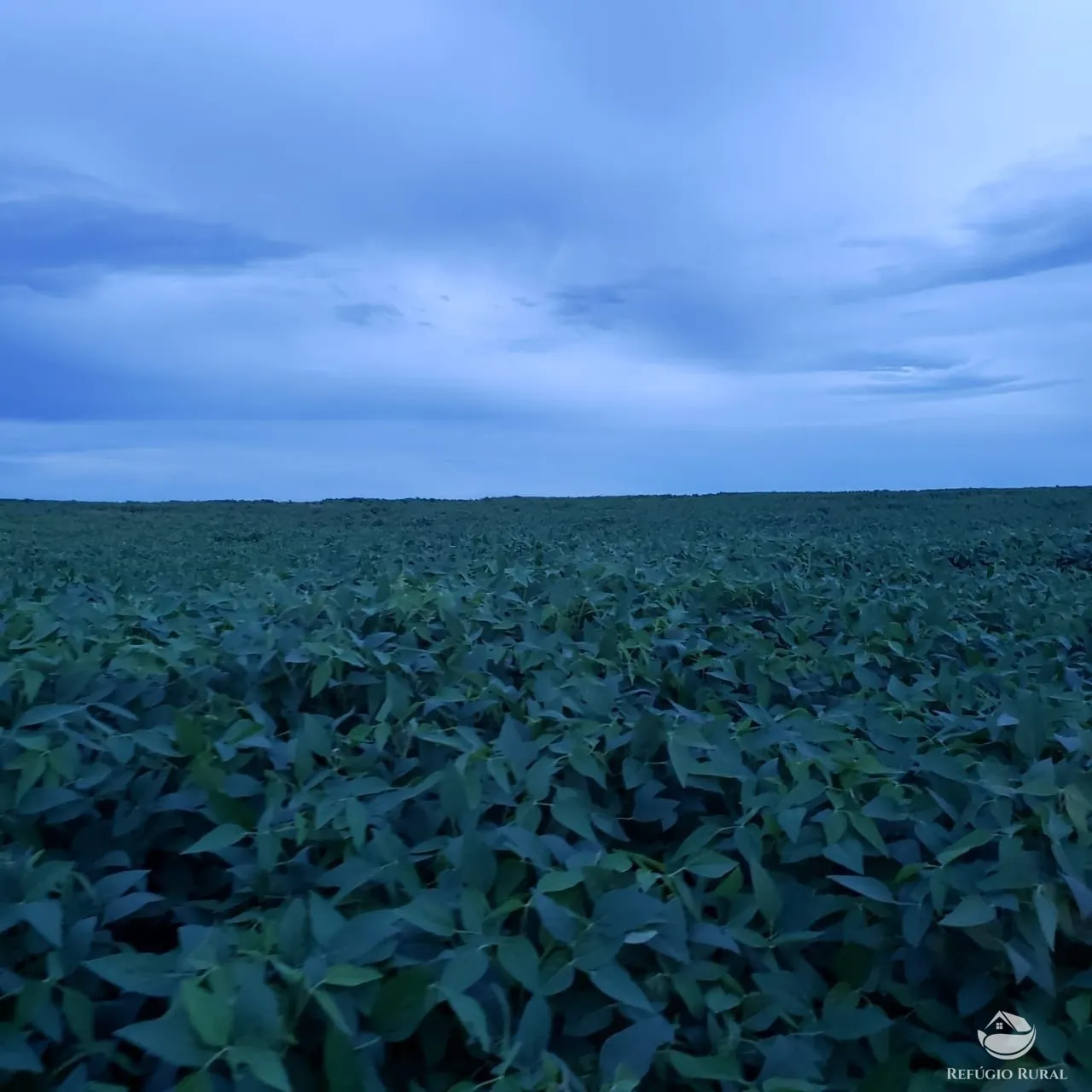 Fazenda à venda de 3.771 ha em Rosário Oeste, MT, Brasil