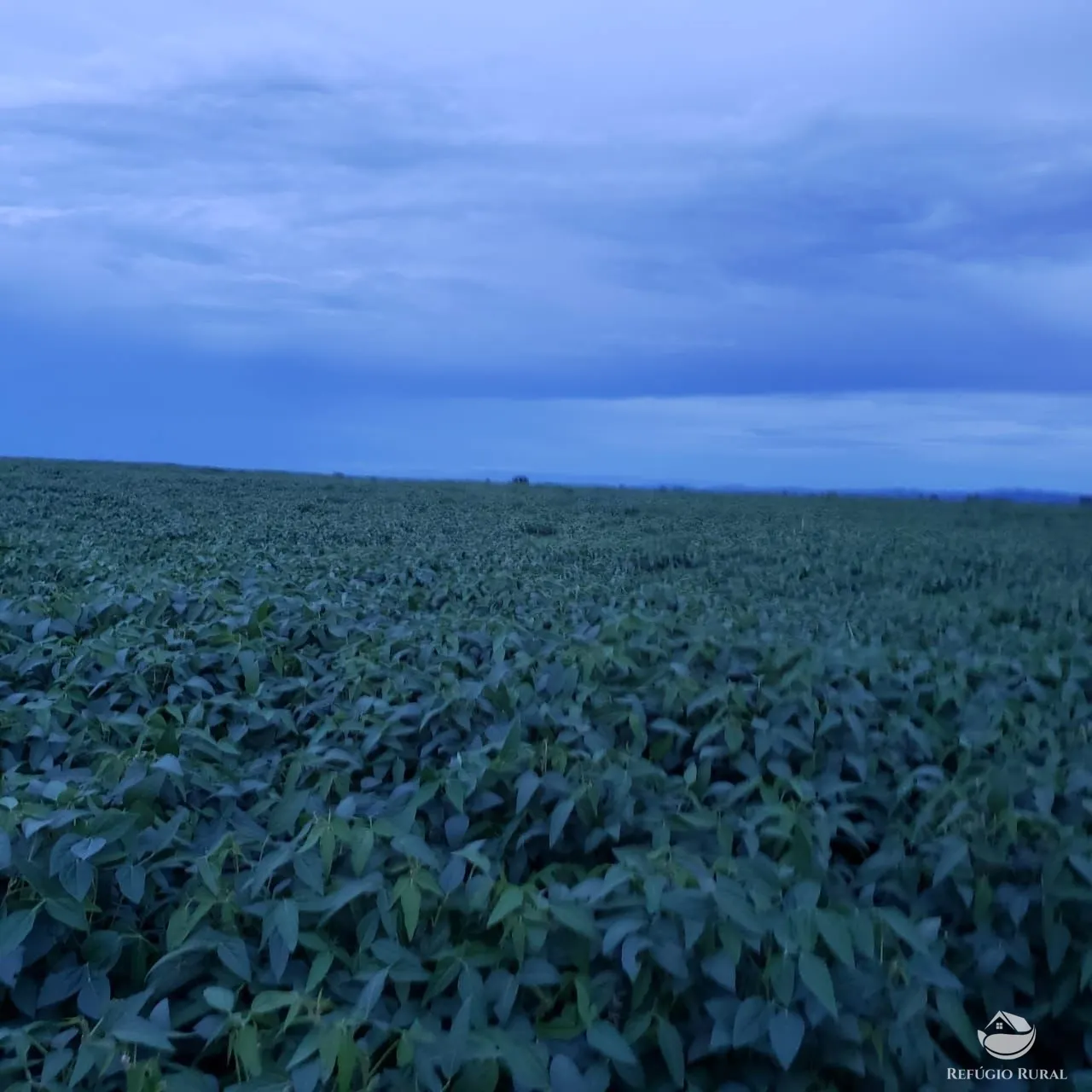 Fazenda à venda de 3.771 ha em Rosário Oeste, MT, Brasil