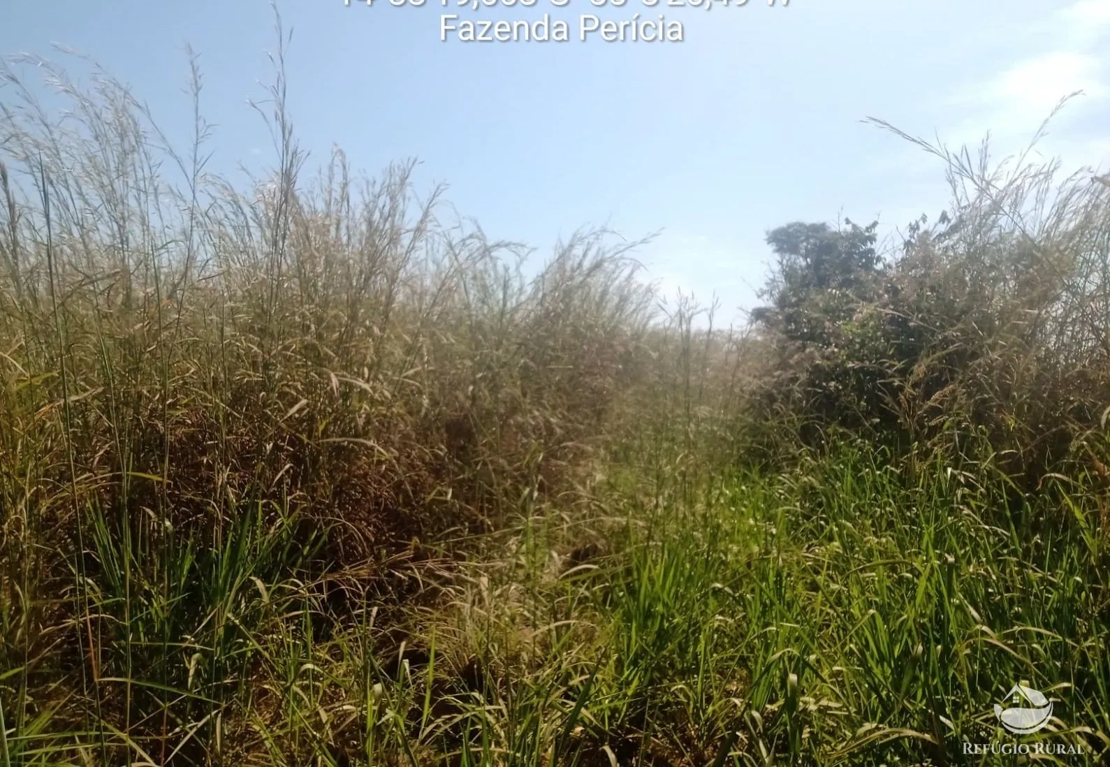 Fazenda à venda de 3.771 ha em Rosário Oeste, MT, Brasil