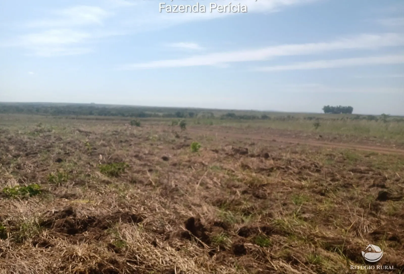 Fazenda à venda de 3.771 ha em Rosário Oeste, MT, Brasil