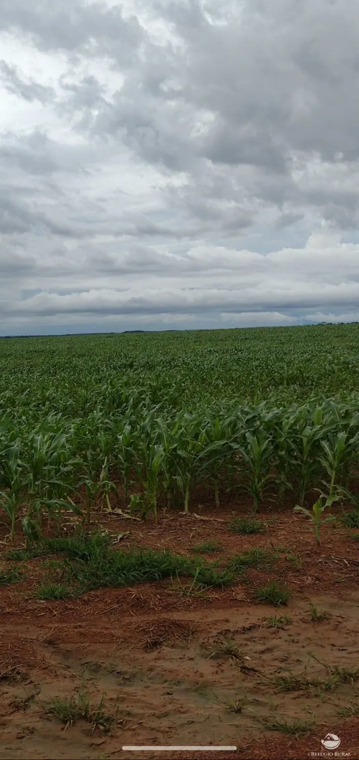Fazenda à venda de 3.771 ha em Rosário Oeste, MT, Brasil