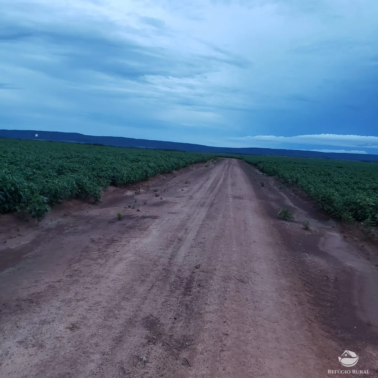Fazenda à venda de 3.771 ha em Rosário Oeste, MT, Brasil
