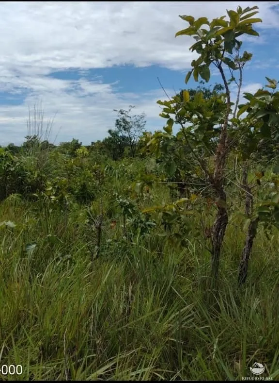 Fazenda à venda de 3.771 ha em Rosário Oeste, MT, Brasil